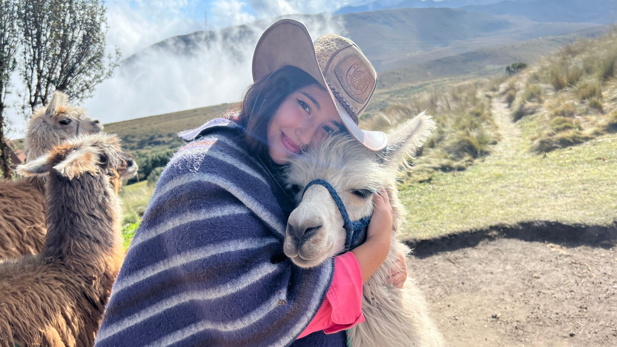 WhatsApp Image 2022-08-29 at 10.05.45 PM